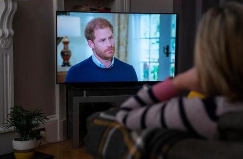 哈利最近爆料了吗视频播放,揭秘幕后真相