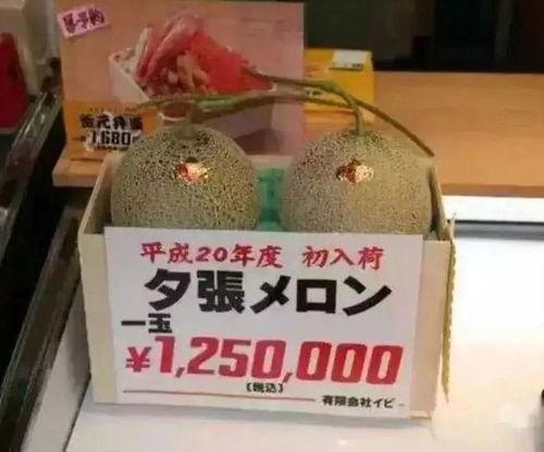 娱乐吃瓜作品有哪些,盘点热门娱乐八卦作品  第3张