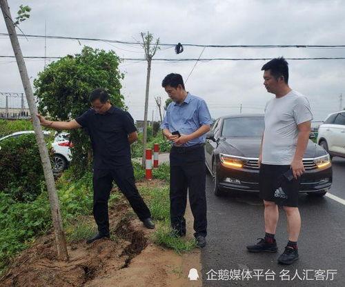 杞县圉镇车祸最新爆料,悲剧现场细节披露，伤亡情况引关注  第2张